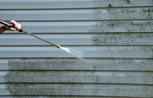 Certified Mold Removal in Wynnewood, OK